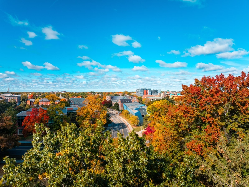 End User add new alt text here