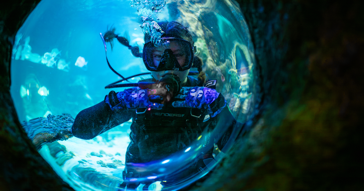 Wide-angle view of Dana MacCallumMhor  in scuba gear underwater in an aquarium