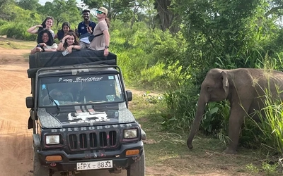 People ride in an open safari vehicle while observing an elephant during their study abroad program in Sri Lanka.