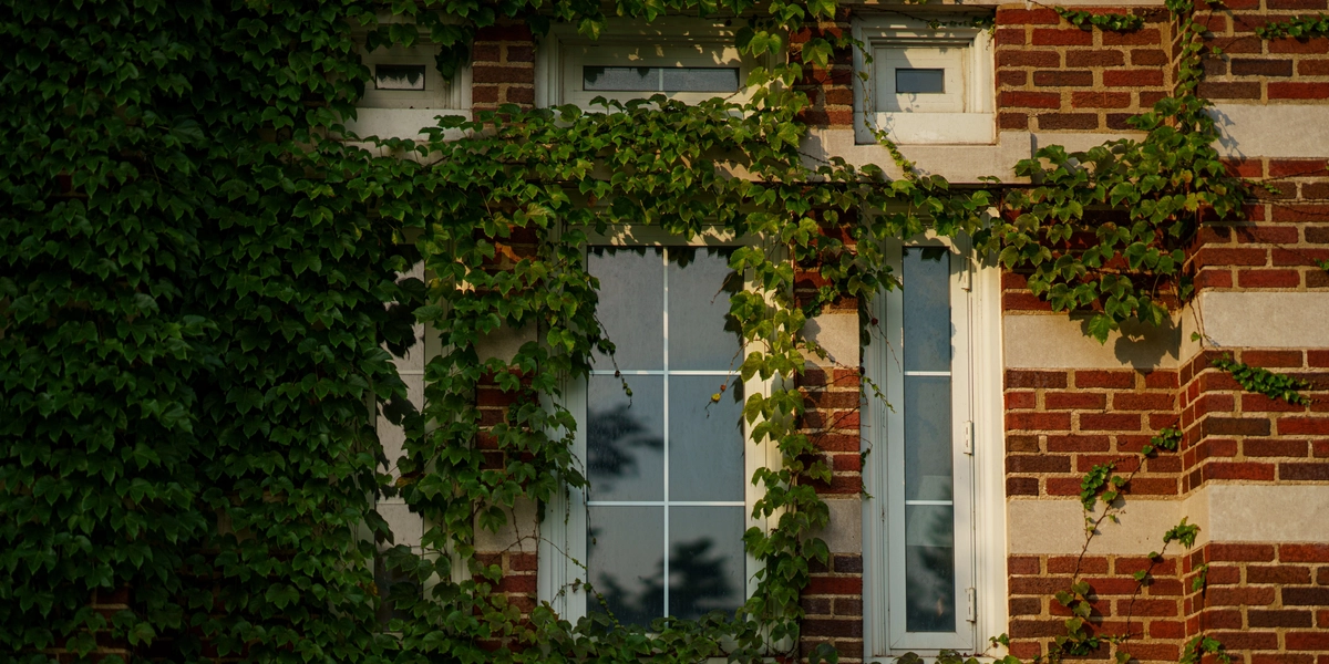 The facade of IM Circle