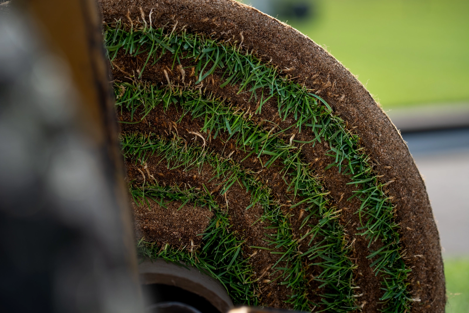 Rolls of MSU-developed turfgrass sod stacked and ready to be laid down at a World Cup venue.