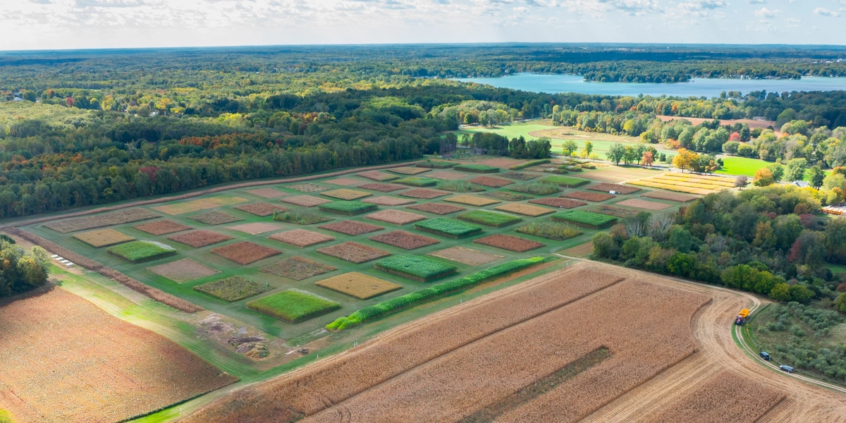 End User add new alt text here