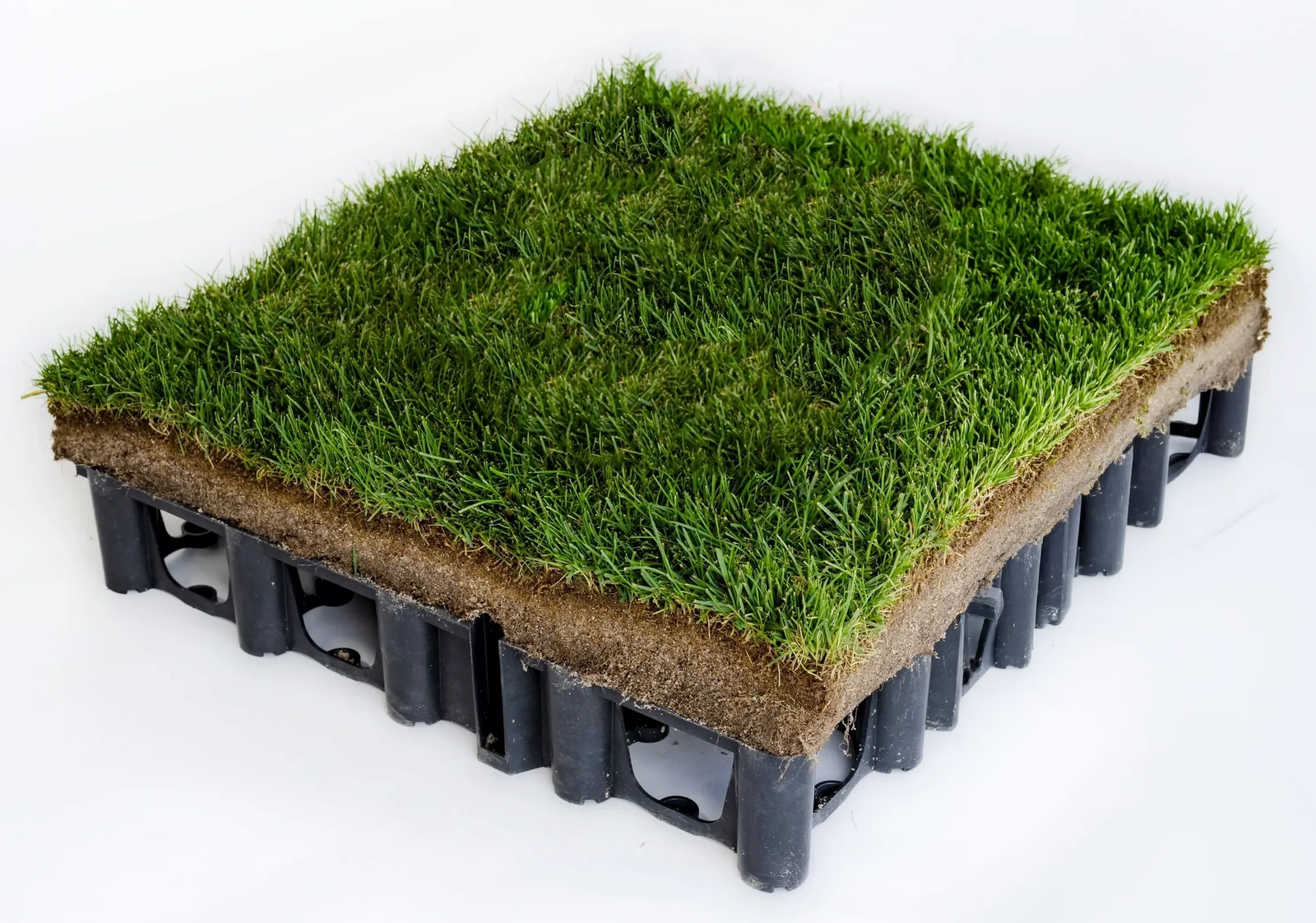 Close-up of MSU-researched turfgrass grown using the sod-on-plastic method, showing the dense root structure that allows near-immediate playability after installation.