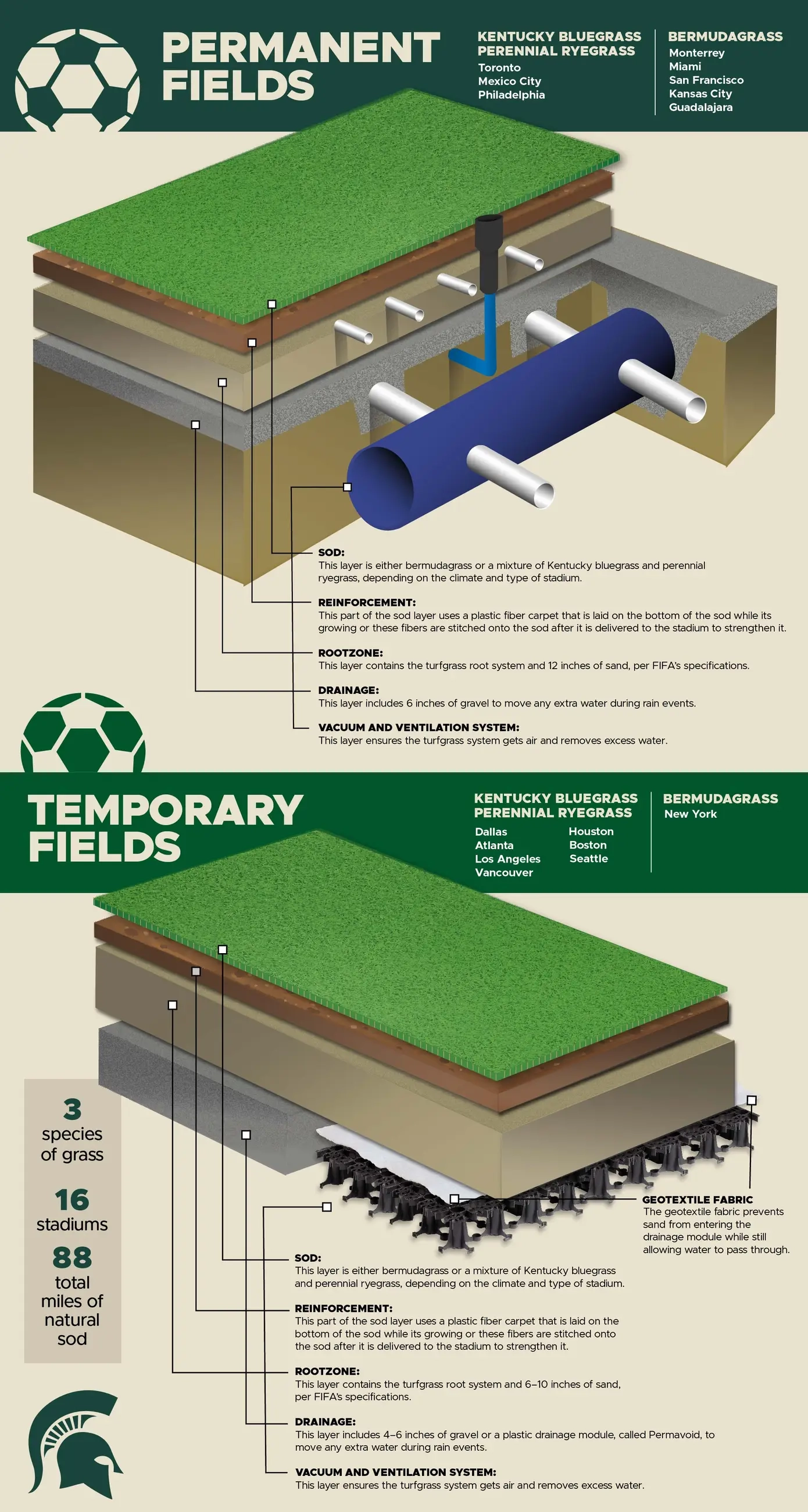 MSU's full turfgrass system graphic showing both permanent and temporary FIFA-spec field constructions, with grass species, host cities and component layers.