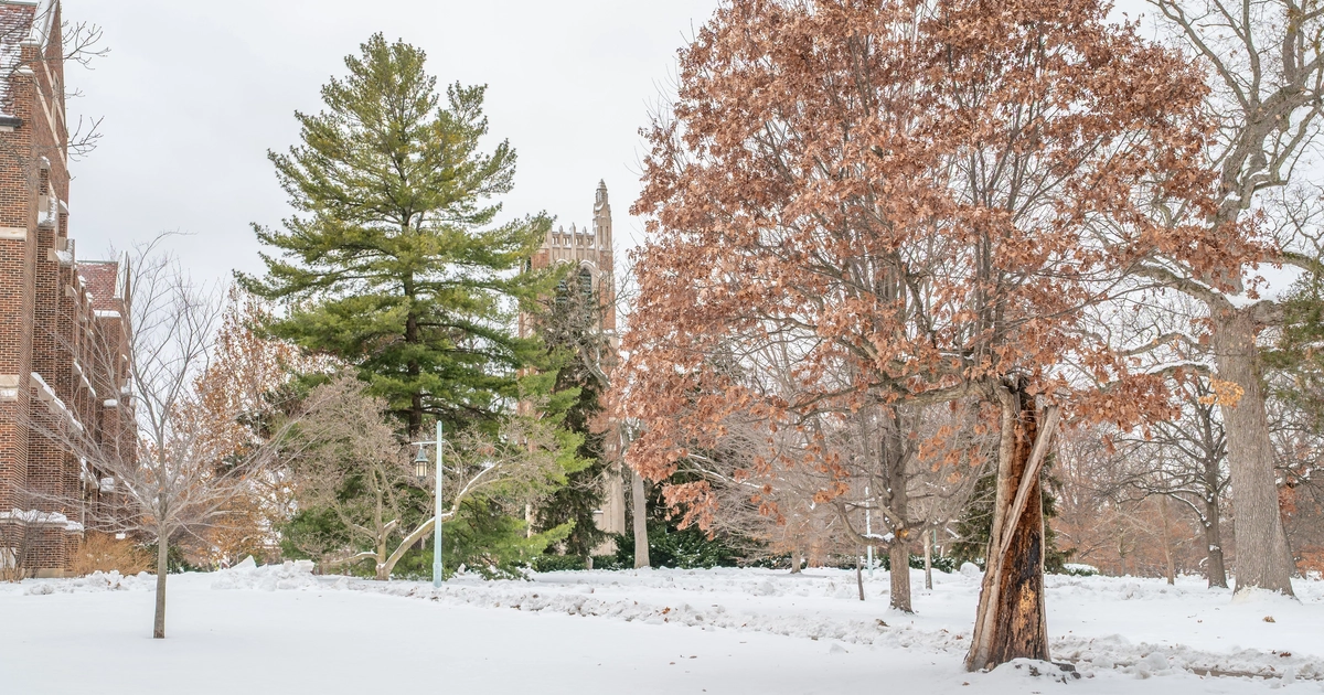 Plan your week with these upcoming campus events | MSUToday | Michigan ...