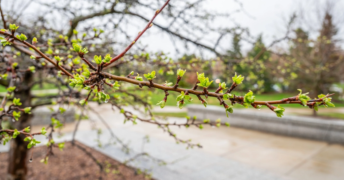 Things to do at MSU the week of April 6–12 | MSUToday | Michigan State ...