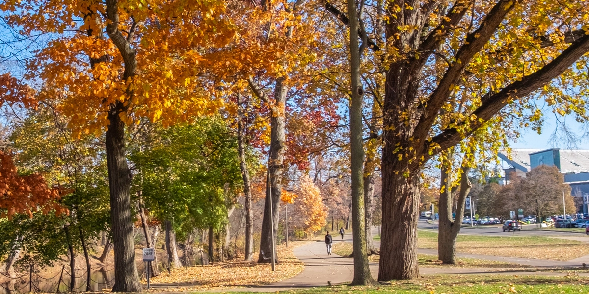 20251113-DLT.1125 2.jpg