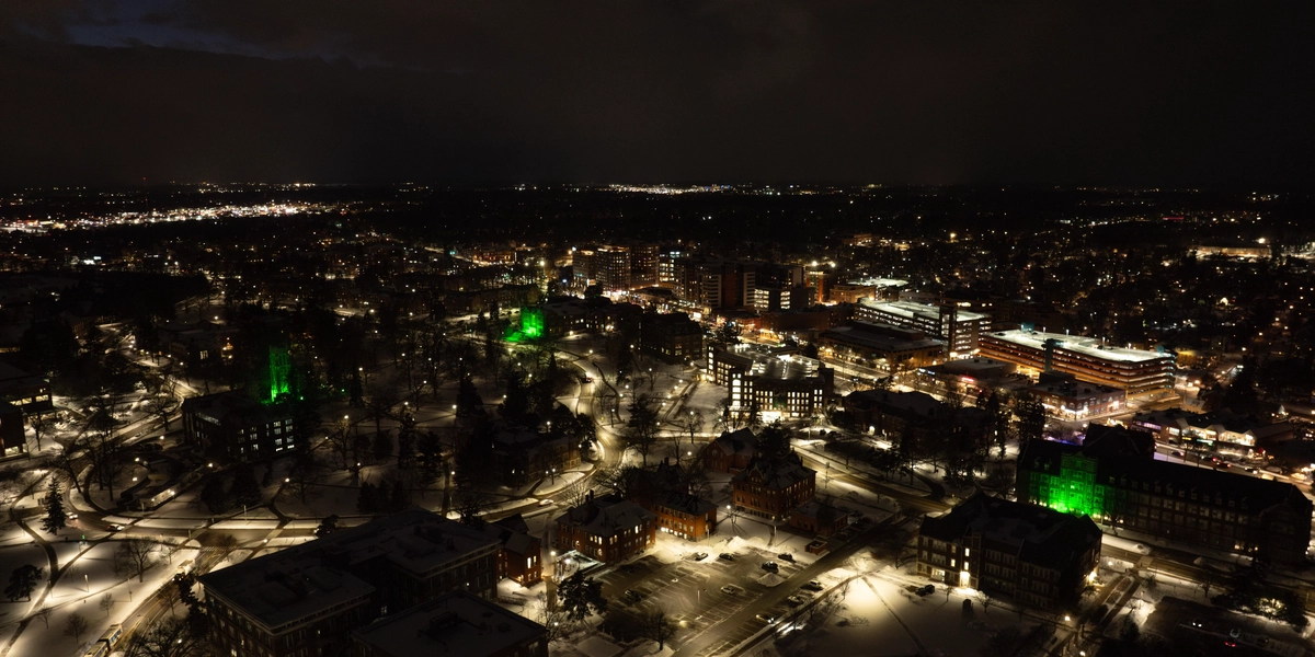 End User add new alt text here