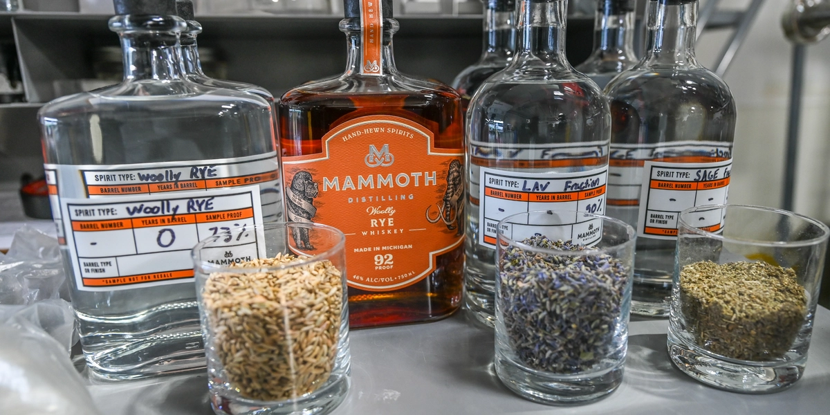 Five glass bottles and three small glasses are displayed on a metal countertop in a distillery setting. The center bottle has an orange label reading “Mammoth Distilling – Old Rye Whiskey.” The other bottles have white labels with handwritten details about different rye varieties, including “Woolly Rye,” “Lavender,” and “Sage.” The three small glasses in front contain grains and herbs corresponding to the labeled spirits. In the background are shelves with kitchen equipment and glassware.
