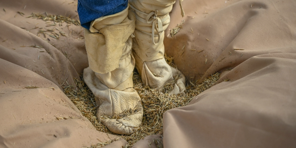 Close-up of two feet wearing soft, cream-colored leather moccasins standing on a tan fabric surface covered with scattered seeds or grains. The person is wearing blue denim pants, and the surrounding area appears to be part of an outdoor activity involving traditional footwear and seed processing.