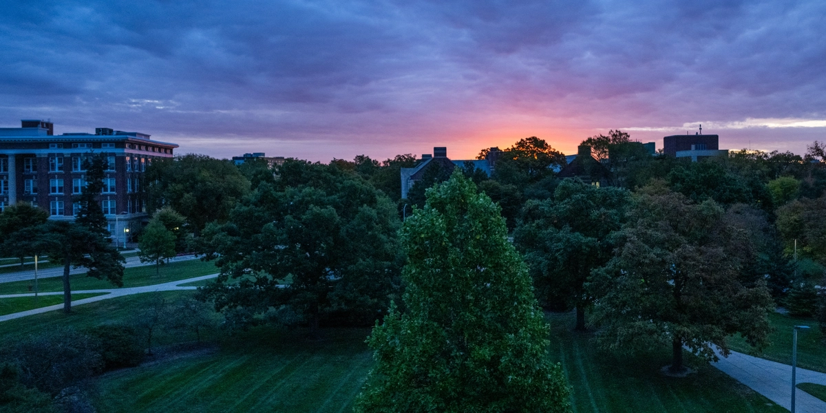 20251017-DLT_6561.jpg