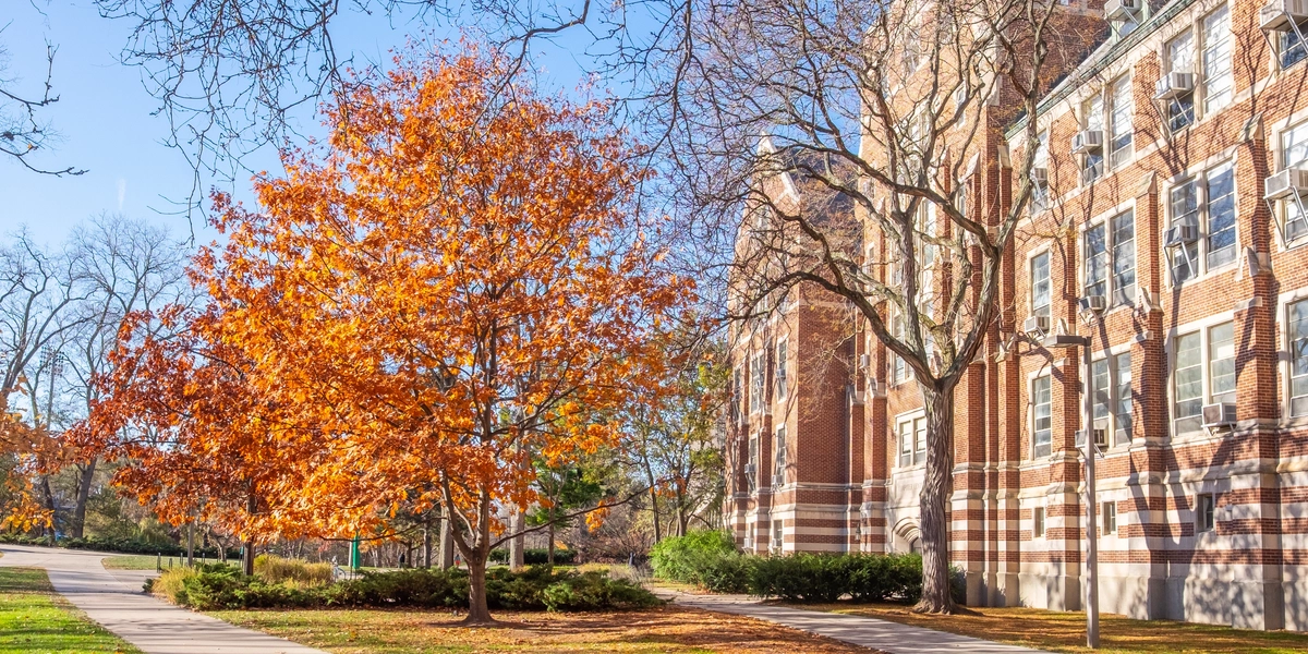 20251113-DLT.1047 2.jpg