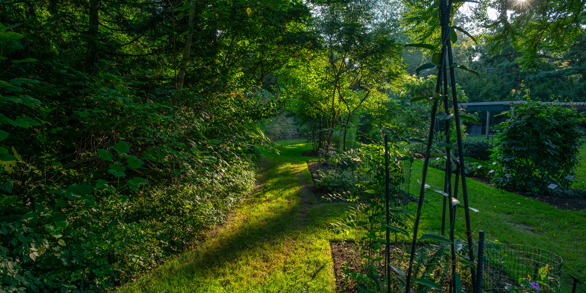 20250814.DLT_9824.jpg