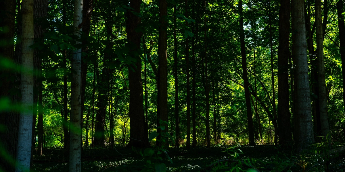 20250827.DLT_9107.jpg