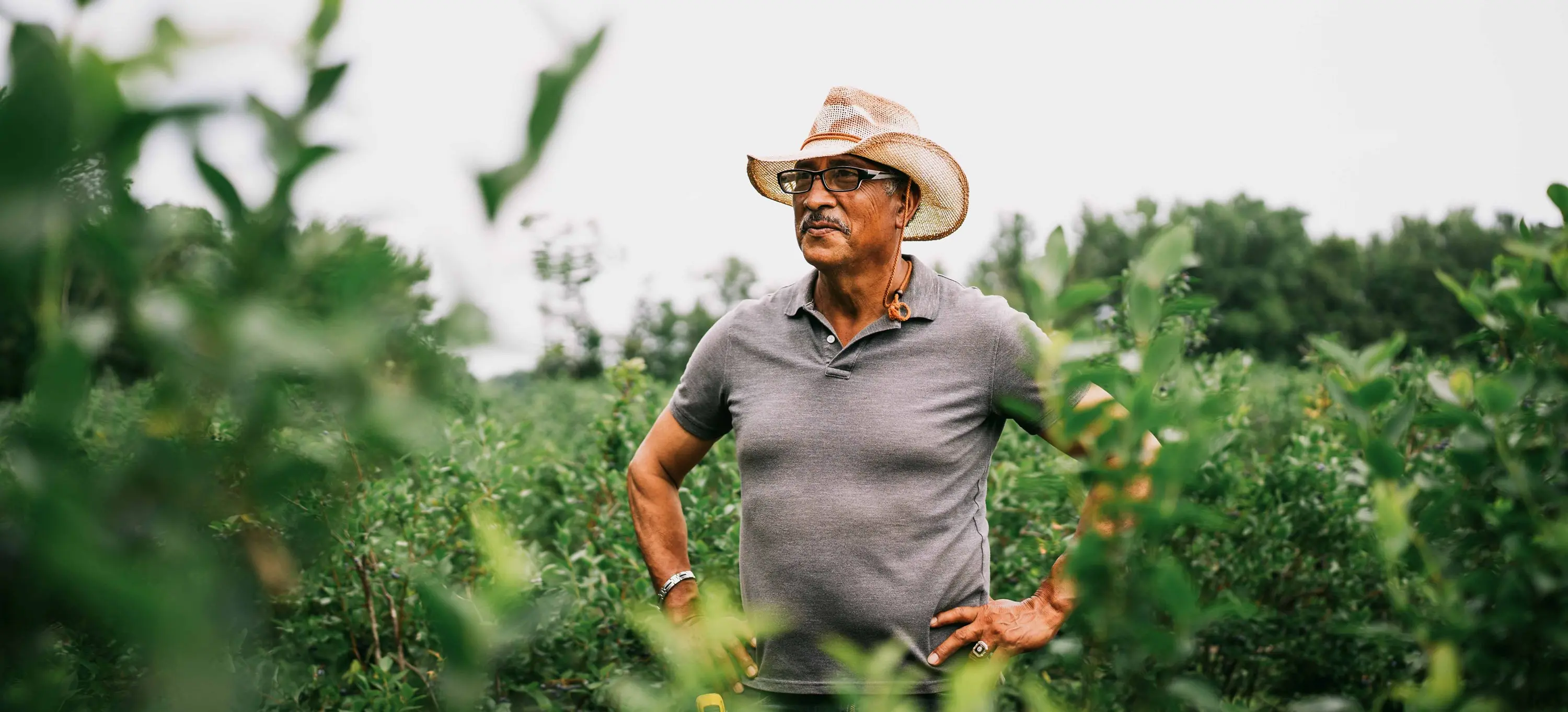 farmer in gray polo and straw hat stands among green crops, hands on hips.