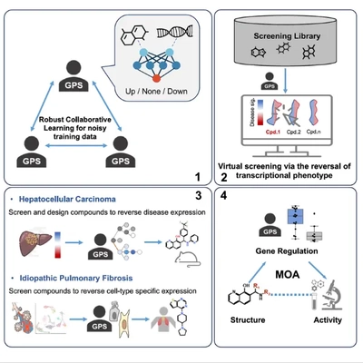The process behind cell line testing the lab used graphic