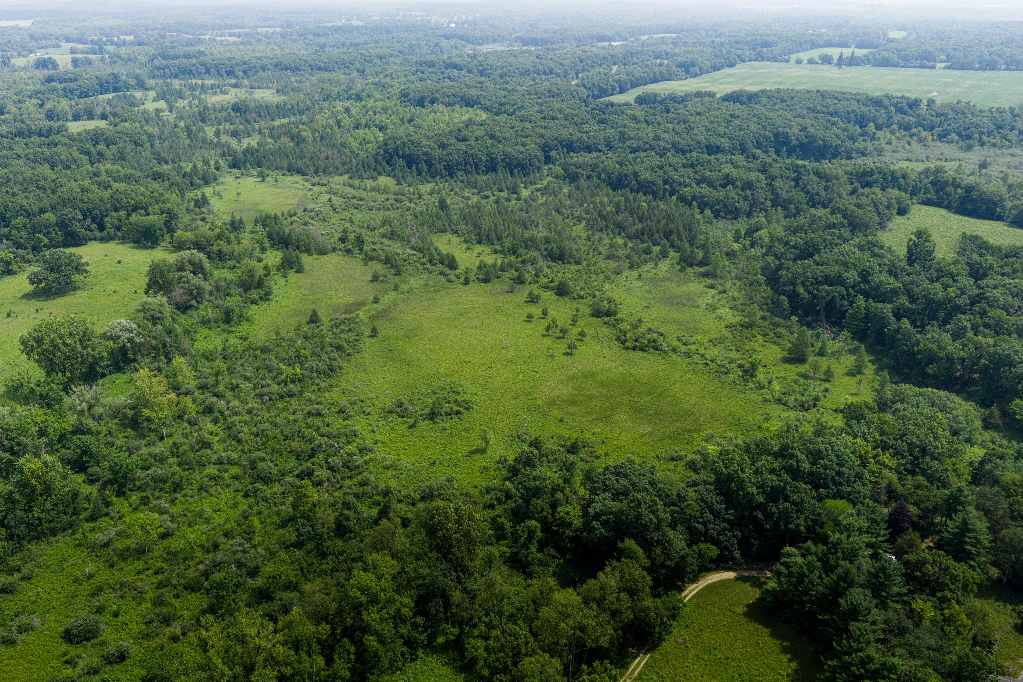 Aerial view of a restored prairie fen in southern Michigan
