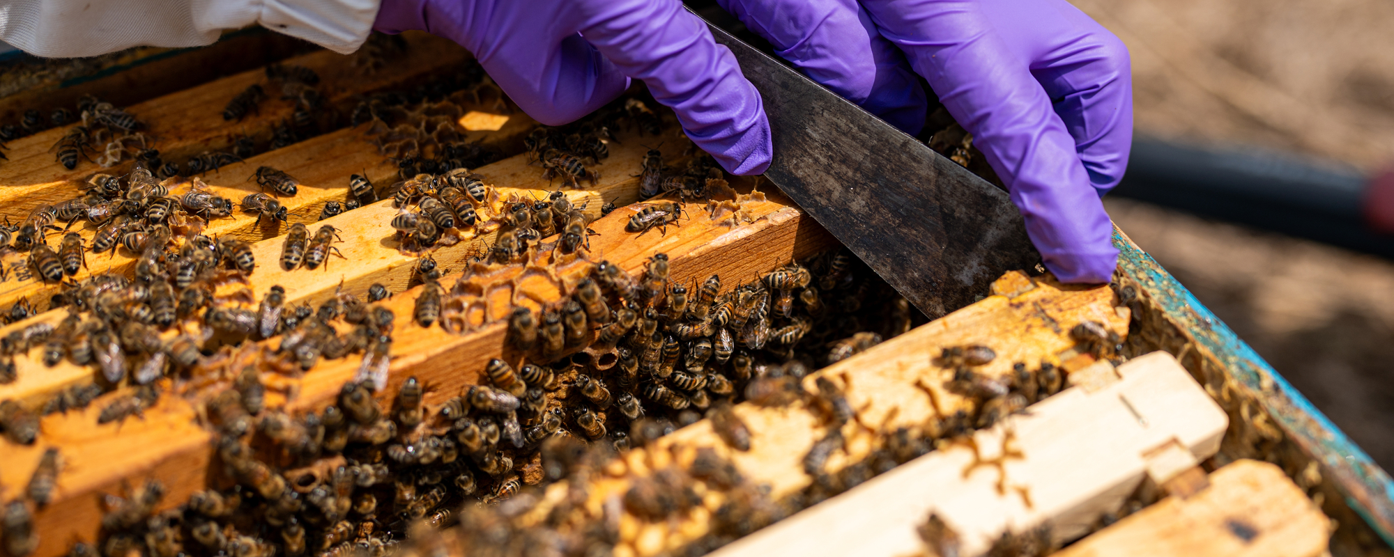 Close-up of a person