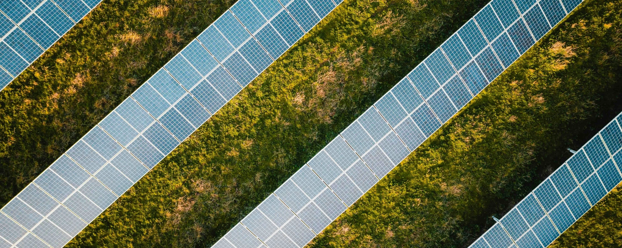 View from above of solar panels on a farm.
