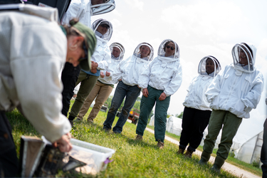 A group of about seven people stand on a grassy slope, all wearing white beekeeping suits with mesh hoods. In the foreground, a person in a similar suit is bent over a white container. The sky is partly cloudy, and a white tent-like structure is visible in the background.
