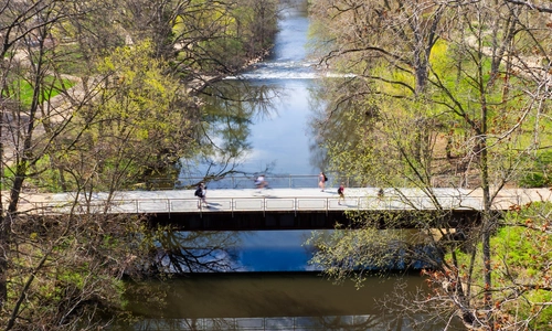 Bridges to success: Introducing new Spartans to life at MSU 