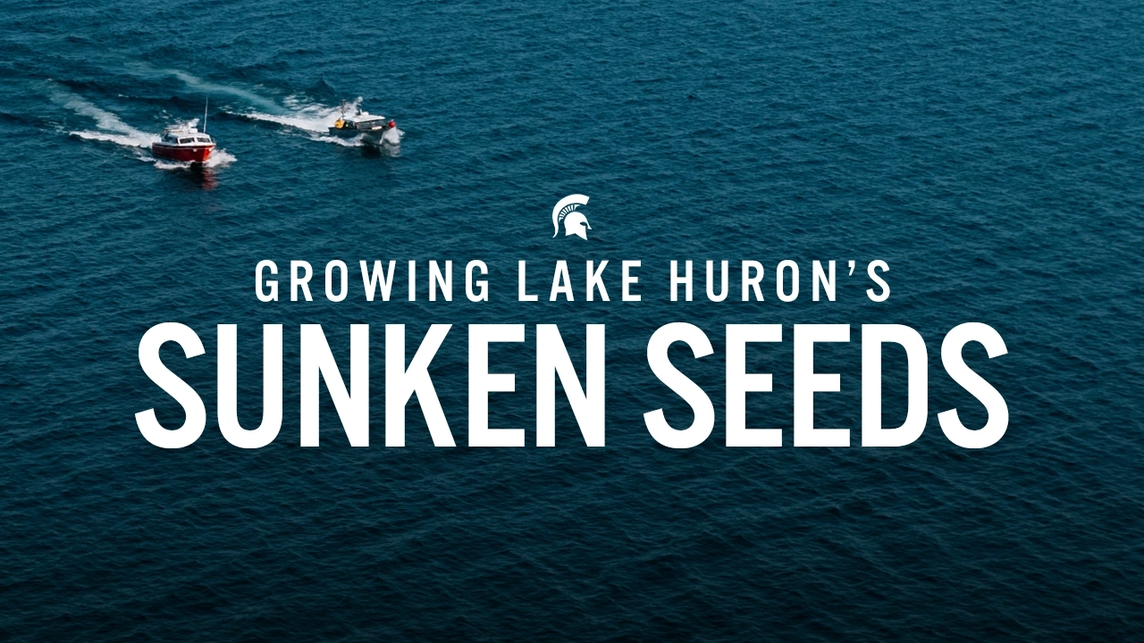 Brunno Video Thumbnail