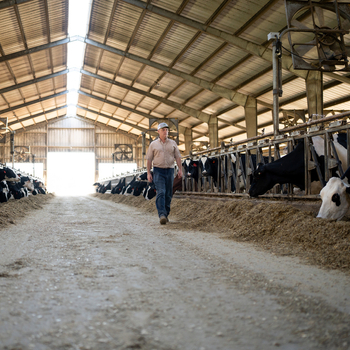 A once-in-a-generation discovery is transforming a Michigan dairy farm