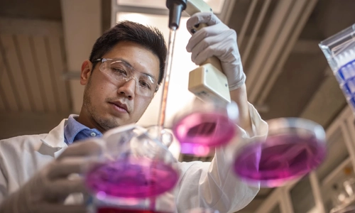 Scientist with petri dishes filled with pink/purple substance viewed from below through a clear surface.